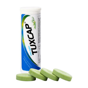Tuxcap Agimexpharm 14 viên - Viên ngậm bổ phổi