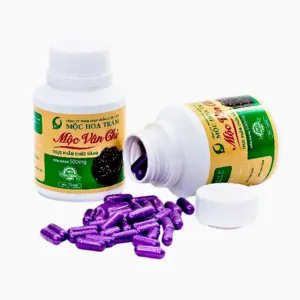 Mộc Vân Chi - Hỗ trợ bệnh nhân ung thư tăng cường sức khỏe và miễn dịch ( 120 viên)