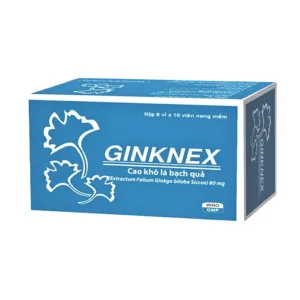 Ginknex 80mg - Điều trị chứng giảm trí nhớ
