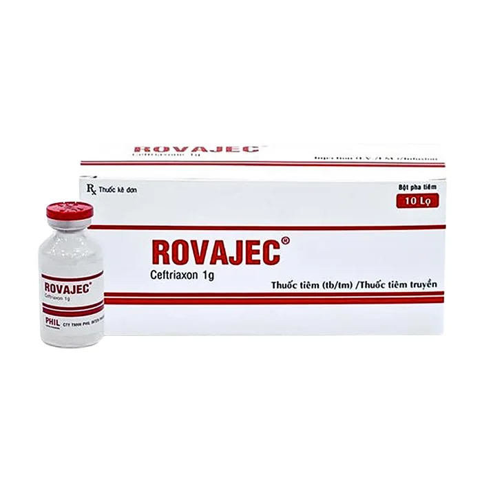 Thuốc pha tiêm Rovajec (10 lọ) - Điều trị nhiễm trùng hô hấp, nhiễm trùng máu, thận - tiết niệu