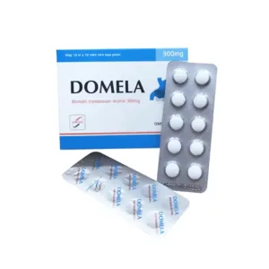 Domela 300mg (10 vỉ x 10 viên) - Điều trị viêm loét dạ dày và tá tràng