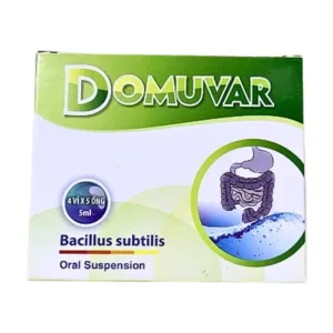 Domuvar Bacillus subtilis - Men vi sinh 2 tỷ lợi khuẩn