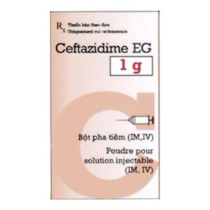 Thuốc kháng virus PMP Ceftazidime EG 1g 1 Lọ