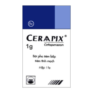 Thuốc kháng virus PMP Ceraapix 1g 1 Lọ