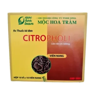 Citropholi Mộc Hoa Tràm (10 vỉ x 10 viên) - Tăng cường hệ miễn dịch cơ thể