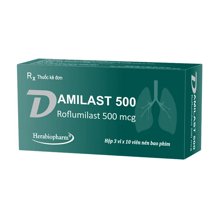 Damilast 500 (3 vỉ × 10 viên) - Điều trị duy trì bệnh phổi tắc nghẽn mạn tính