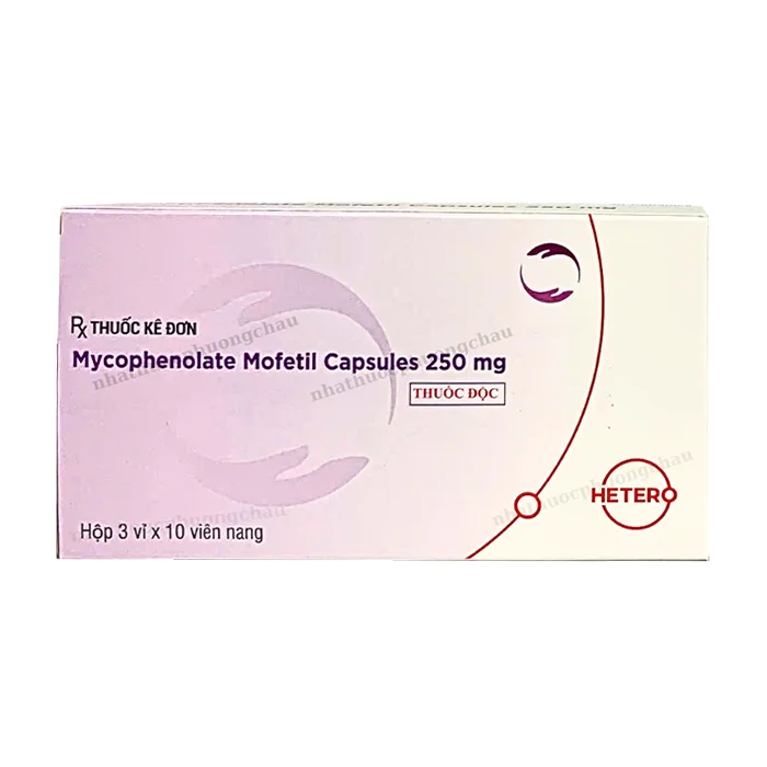 Mycophenolate mofetil 250mg Hetero - Dự phòng thải ghép cấp
