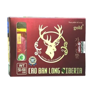 Cao Ban Long Siberia Gold