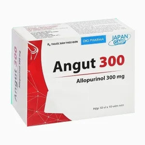 Agigout 300mg Allopurinol - Trị gút